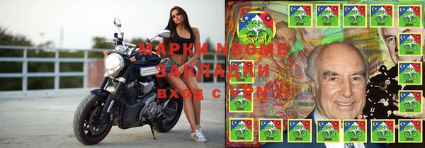 ГАЛЛЮЦИНОГЕННЫЕ ГРИБЫ Алексеевка