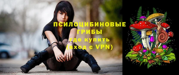 ГАЛЛЮЦИНОГЕННЫЕ ГРИБЫ Алексеевка