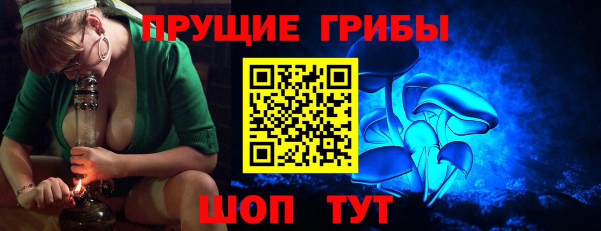 Галлюциногенные грибы Psilocybe  Псилоцибиновые грибы Psilocybe  Вход с VPN  Сосновоборск 